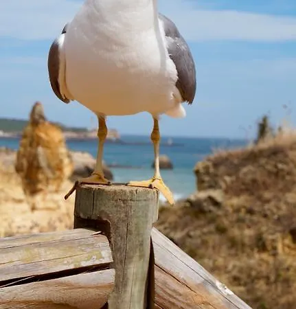 شقة Atlantic Sun & *