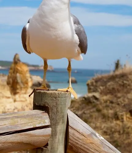 Apartament Atlantic Sun & *